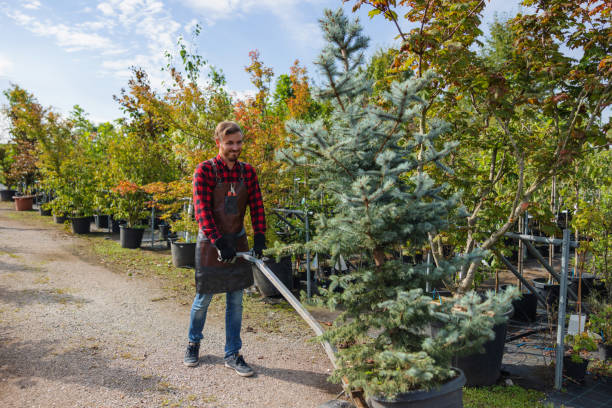 Best Commercial Tree Services  in USA